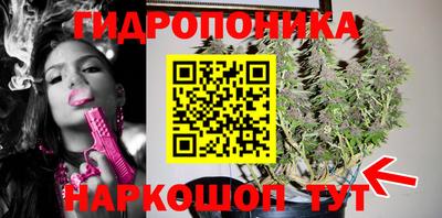 гашик Нарткала